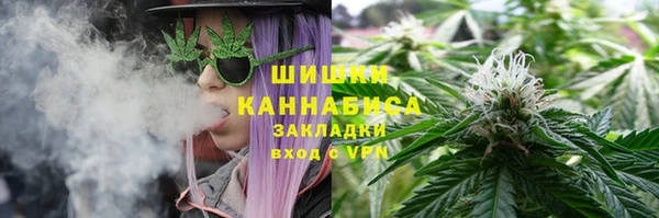 дживик Волоколамск